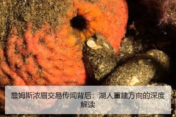 詹姆斯浓眉交易传闻背后：湖人重建方向的深度解读