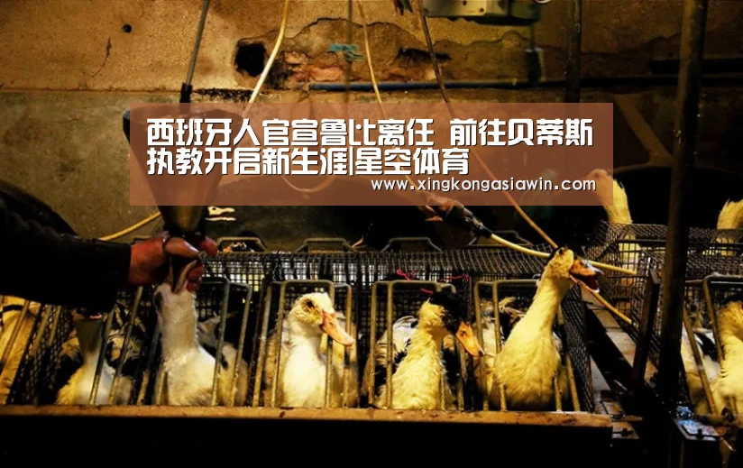 西班牙人官宣鲁比离任 前往贝蒂斯执教开启新生涯|星空体育(图4) 星空电竞