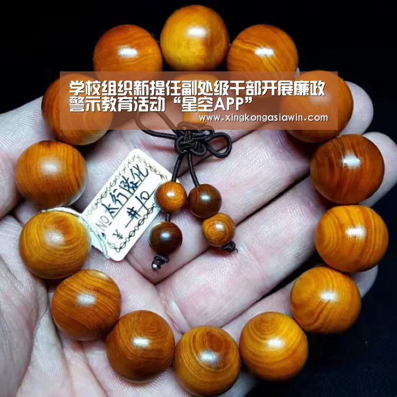 学校组织新提任副处级干部开展廉政警示教育活动“星空APP”(图1) 星空官网